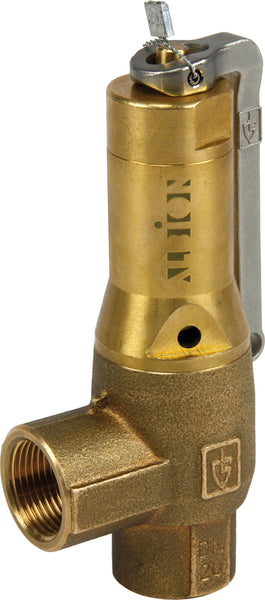 Albion DN32 1.1/4" ART645 Safety Valve - SET PRESSURE REQUIRED
